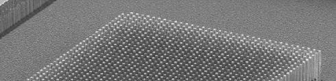 MICROSCOPIA ELECTRONICA CU SCANARE 9 Figure