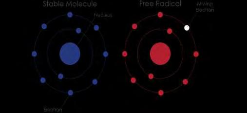 Ως ελεύθερη ρίζα ορίζεται κάθε άτομο ή μόριο στοιχείου ή χημικής ένωσης το οποίο περιέχει ένα ή περισσότερα μη συζευγμένα ηλεκτρόνια στην εξωτερική στοιβάδα σθένους (Jenkins, 1988).
