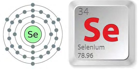 1.7.2.7 Σελήνιο (Se) Είναι ένα απαραίτητο μέταλλο που συγκαταλέγεται στα ιχνοστοιχεία και είναι αναγκαίο για την κυτταρική λειτουργία πολλών οργανισμών.