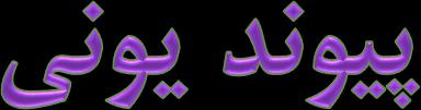 و شبکه یونی