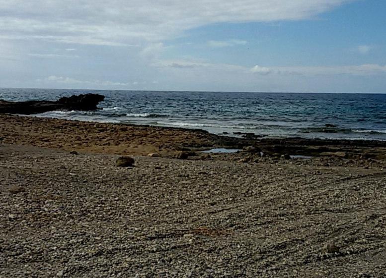 Αυτός ο οδηγός είναι μέρος μιας σειράς συνδεόμενος με την διδασκαλία της οστρακολογίας σε σχολικά μαθήματα ή συγκεκριμένες εκδηλώσεις, με ιδιαίτερη αναφορά στην πανίδα των όστρακων σε καθορισμένες
