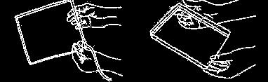 Lodish H, Berk A, Zipursky SL, et al. New York: W. H. Freeman 2000.