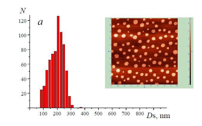 6γ ЧЦ, Л ) ДβЖ. - ( Ps, EЛ). - (.1).,,, -.. 1. Ds (010) (a) (b) TGS. ( I.