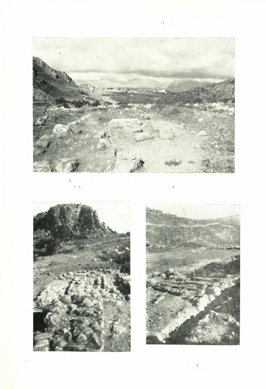 ίιαε 1955.