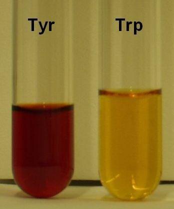kyselinou dusičnou vznikajú žlto sfarbené produkty (gréc. xanthos = žltý). 3 2 2 brázok 2.