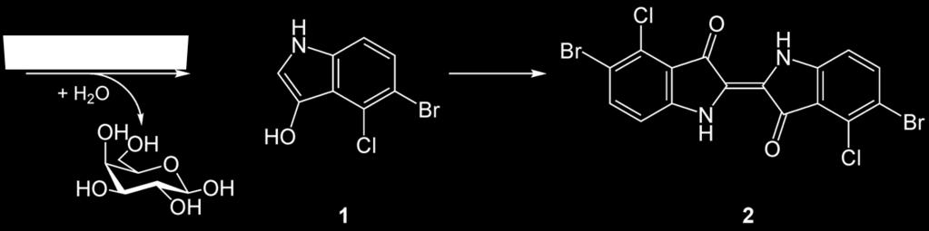 Naravni induktor je alolaktoza (derivat laktoze).