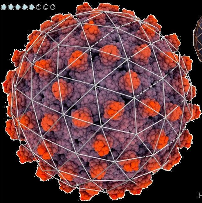 hepatitisa B doslej v