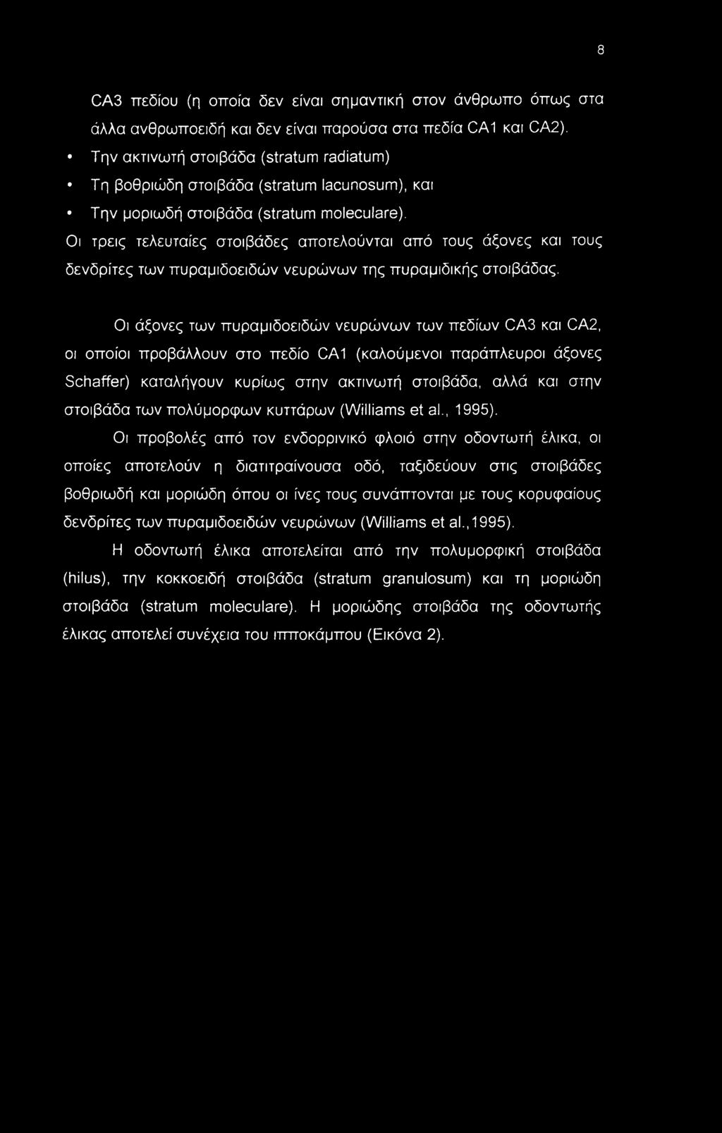 Οι τρεις τελευταίες στοιβάδες αποτελούνται από τους άξονες και τους δενδρίτες των πυραμιδοειδών νευρώνων της πυραμιδικής στοιβάδας.