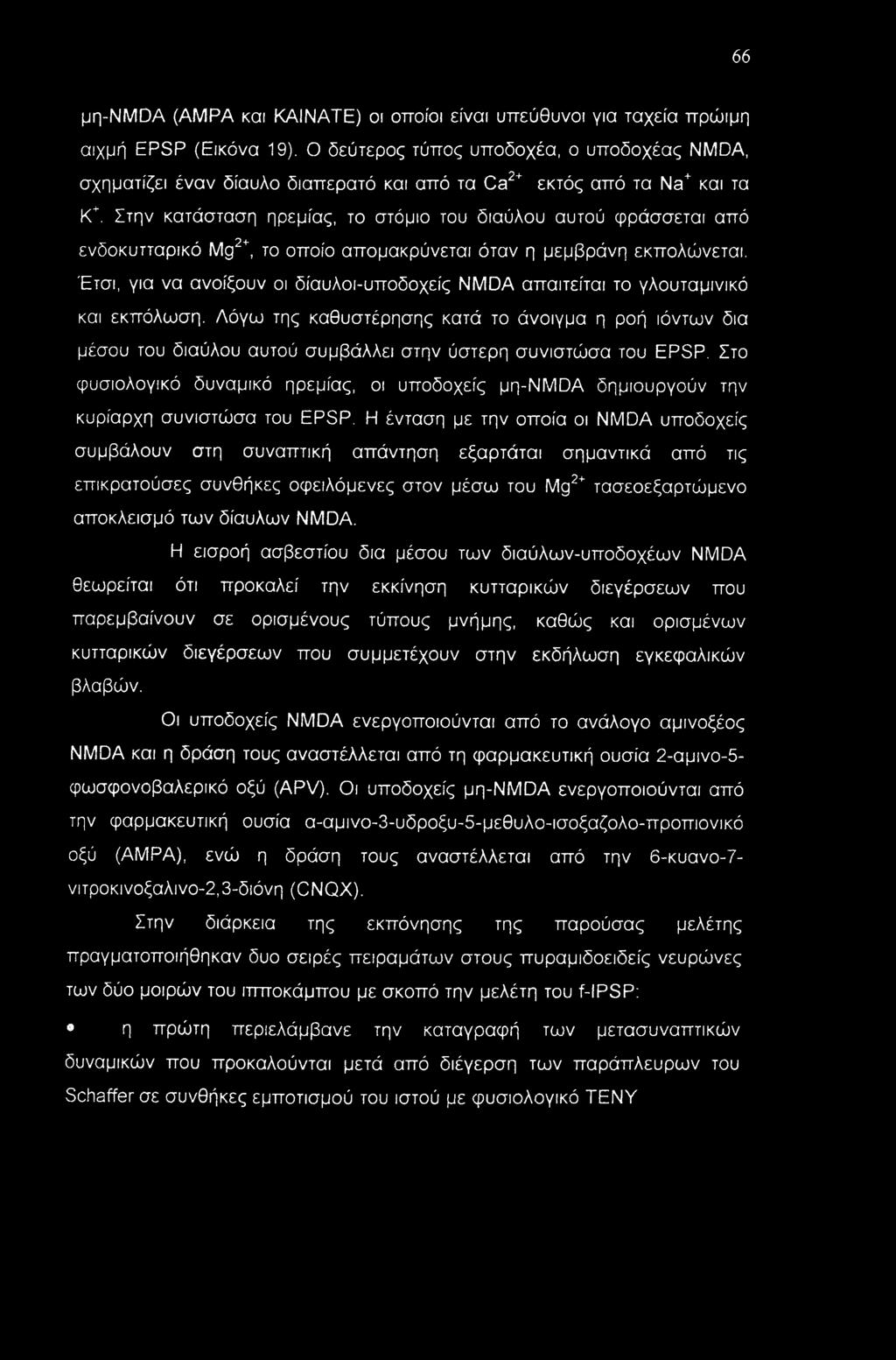Στην κατάσταση ηρεμίας, το στόμιο του διαύλου αυτού φράσσεται από ενδοκυτταρικό Mg2+, το οποίο απομακρύνεται όταν η μεμβράνη εκπολώνεται.