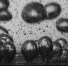 200