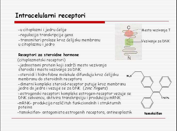 Agonisti i antagonisti Ligandi (transmiteri) se