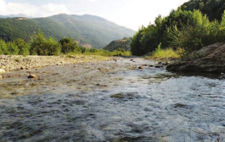 ΑΠΟ ΤΗ ΜΙΑ ΣΕΛΛΙΑΝΗ ΣΤΗΝ ΑΛΛΗ Με χαρά και συγκίνηση υποδεχτήκαμε φέτος, ανήμερα του Τρανού Χορού της Αγάπης, τους συγχωριανούς μας από τη Σέλλιανη Θεσπρωτίας, ανταποδίδοντας την επίσκεψη που