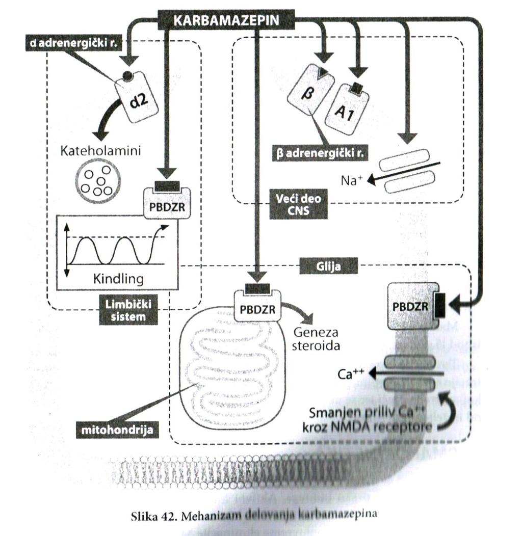 KARBAMAZEPIN Antiepileptik primarno registrovan kod temporalne epilepsije.