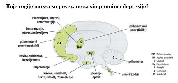 SIMPTOMI DEPRESIJE Depresivni simptomi podrazumijevaju ili smanjenje pozitivnog afekata
