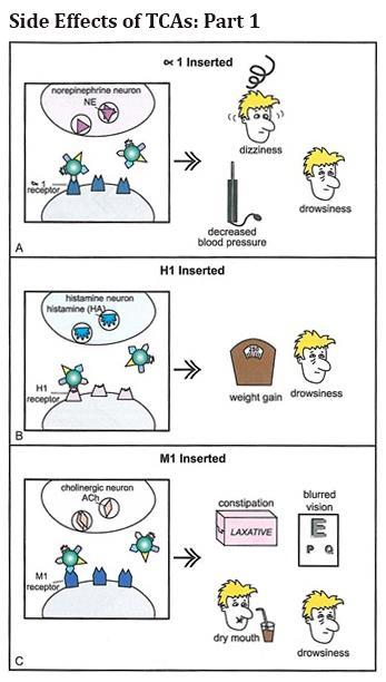 TRICIKLIČNI ANTIDEPRESIVI Svi triciklični antidepresivi su norepinefrin transporter blokatori oni su norepinefrin inhibitori ili norepinefrin reuptake inhibitori.