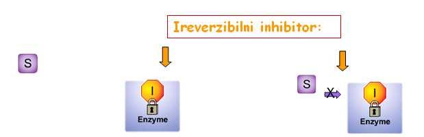 Primer alosternog inhibitora -alosterni inhibitor koji se uključuje u mehanizam povratne sprege -lek ima strukturu sličnu finalnom proizvodu, a ne supstratu SH N N N N H 6-merkaptopurin inhibira