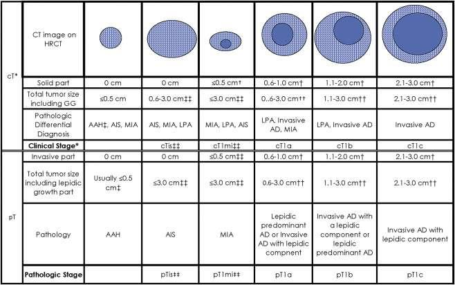 ΣΤΑΔΙΟ : IA1 T1a m1 = MIA T1a