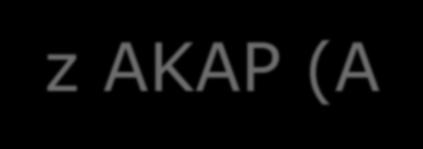 Subcelularna lokalizacija PKA na jedrno membrano z AKAP