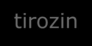 Citokini preko citokinskih receptorjev aktivirajo tirozin-kinaze Male molekule, 160 aminokislin 4 dolge -vijačnice Kontrola rasti in diferenciacije celic Primeri: - prolaktin (z diferenciacijo