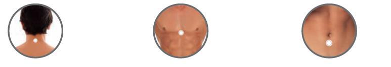 WinFit επίθεμα (patch) Το WinFit patch πρέπει να φοριέται όλη την ημέρα (αφαιρέστε το το βράδυ πριν εφαρμόσετε την Y-Age Carnosine patch).