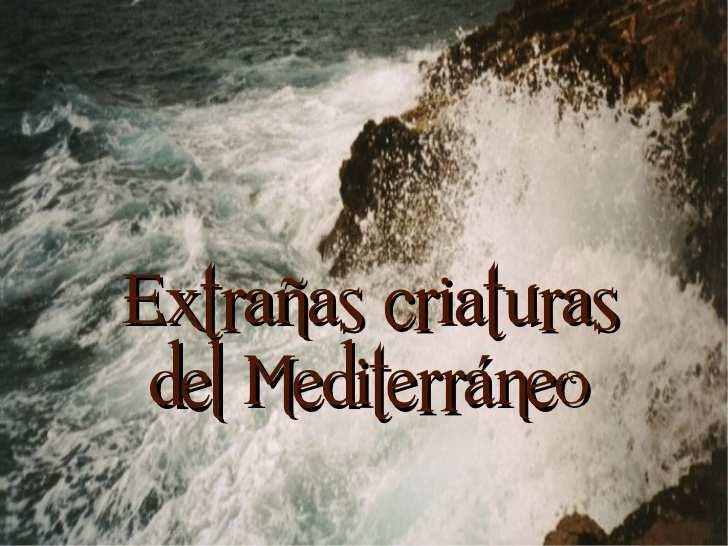 1 of 15 Monstruos del