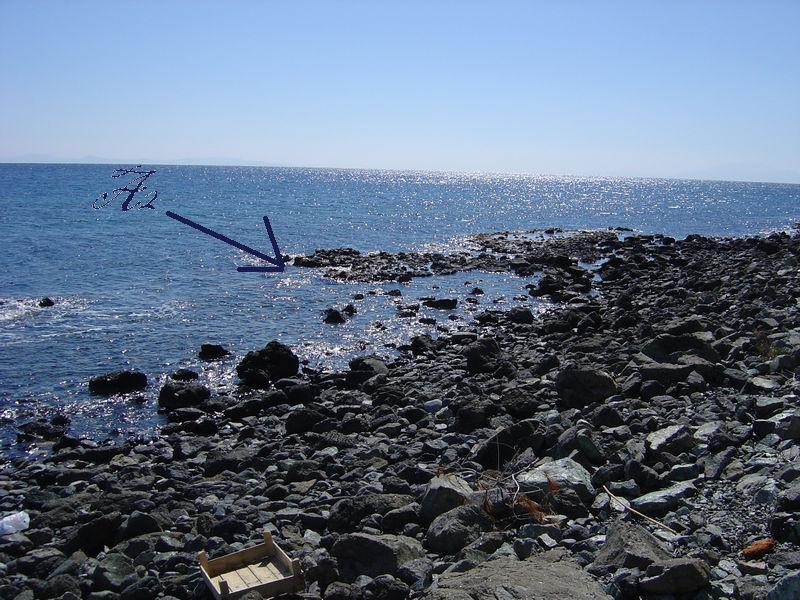2005). Ενώ το παλιρροϊκό εύρος κυμάνθηκε κατά τους παραπάνω μήνες από 30 έως και 40 cm.