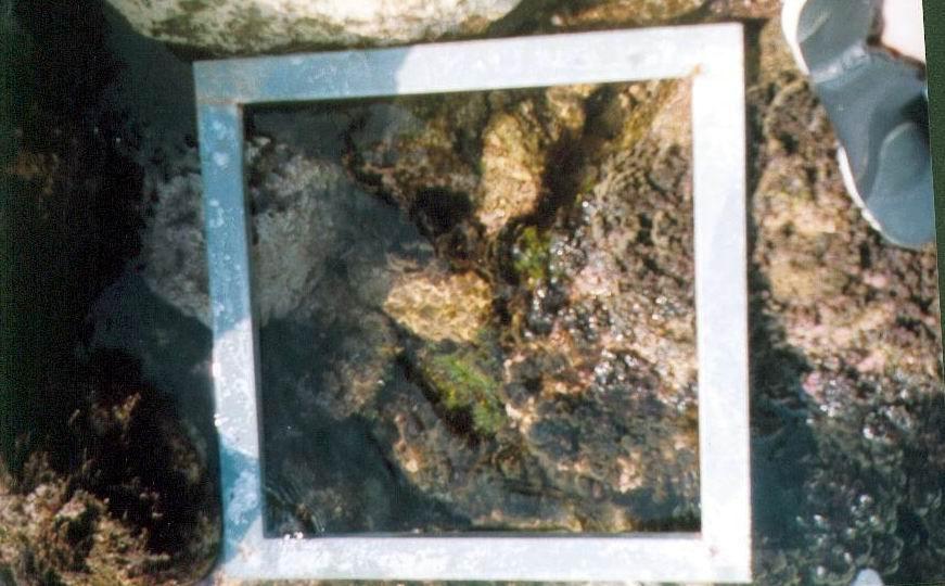 Η συγκεκριμένη περιοχή, που βρίσκεται στην εξωτερική