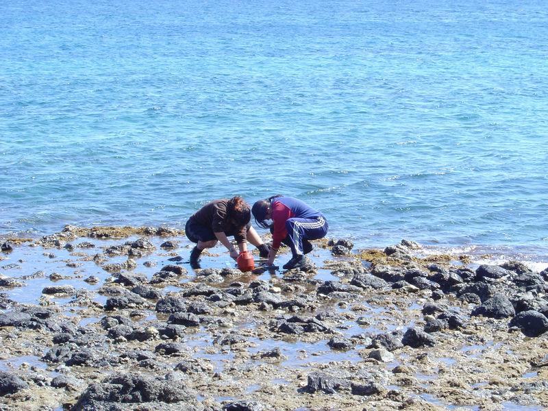 Έπειτα έγινε φωτογράφηση τόσο των σταθμών όσο και των δειγμάτων στο φυσικό τους περιβάλλον (in situ).
