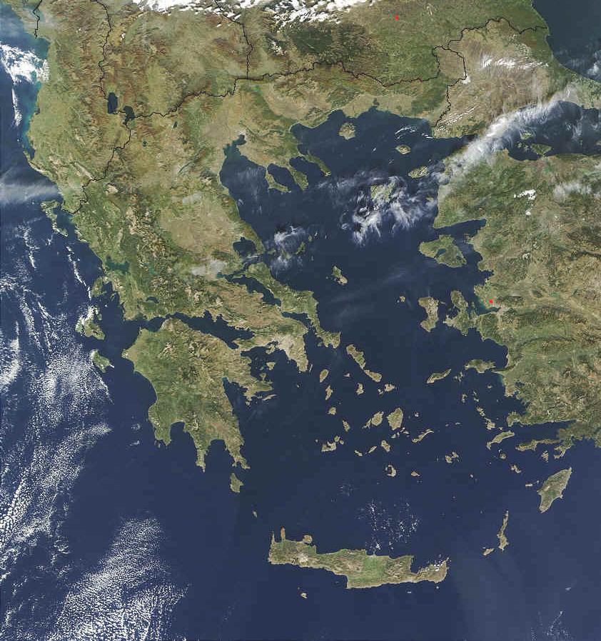 Η μεγάλη ποικιλότητα της ανατολικής Μεσογείου οφείλεται κυρίως στη διάνοιξη της διώρυγας του Σουέζ, όπου ένα μεγάλος αριθμός ειδών μετανάστευσε από την Ερυθρά στη Μεσόγειο, οι λεγόμενοι Λεσεψιανοί