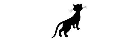 ΜΕΡΟΣ Α: ΚΕΙΜΕΝΟ ΓΙΑ ΚΑΤΑΝΟΗΣΗ [15 μονάδες] H τελευταία μαύρη γάτα, Ευγένιος Τριβιζάς (απόσπασμα - διασκευή) Το βράδυ, που λέτε, είχα ραντεβού με τον Κοψονούρη, τον καλύτερο μου φίλο, γνωστό επίσης