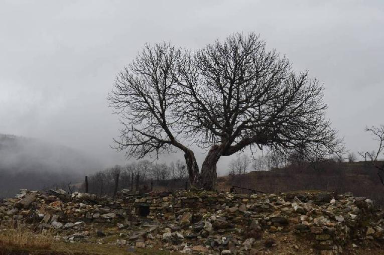 Παρανεστίου, Μύκης και, ενώ δασοδιοικητικά υπάγεται στις Διευθύνσεις Δασών και και τα Δασαρχεία Κ. Νευροκοπίου,, Σταυρούπολης και.