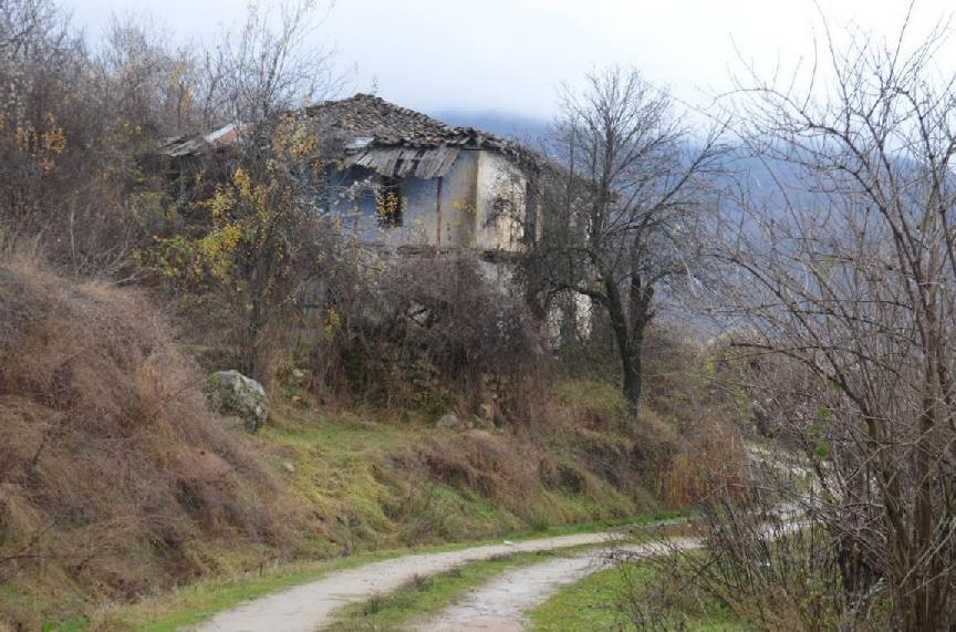 Εικόνα 11. Οπωροφόρα και παλιά σπίτια στο Μαργαρίτι Σύμφωνα τώρα με τα πιο πρόσφατα στοιχεία και συγκεκριμένα τα επίσημα αποτελέσματα της Εθνικής Απογραφής του 2011 (βλ.