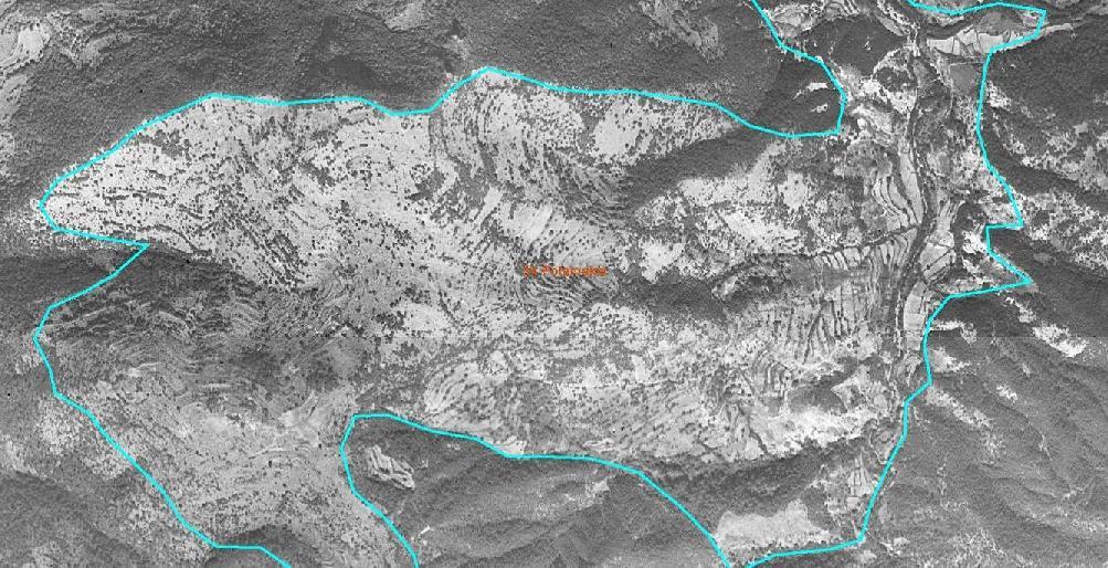 ήδη διεξαχθεί ή προγραμματίζονται έργα και παρεμβάσεις σε αρκετές περιοχές της χώρας, κυρίως νησιωτικές μέχρι τώρα, για τη διατήρηση των αναβαθμίδων.