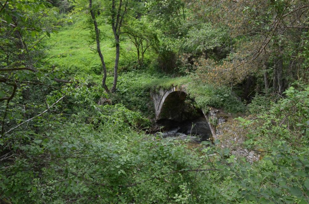 Εικόνα 34. Γεφύρι στο Βαθύρεμα Βρύσες Όπως αναφέρθηκε αναλυτικά στο Παραδοτέο 1.ε, η Οροσειρά Ροδόπης είναι ένα βουνό με ισχυρή παρουσία του υγρού στοιχείου.