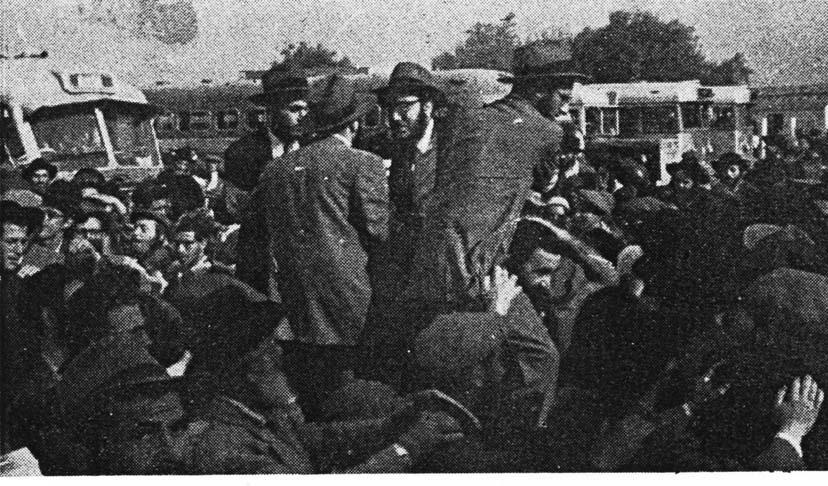 שלום עליכם סוף סוף, לאחר שבועיים שעשו באירופה, נחתו השלוחים בשדה התעופה לוד ביום שישי, ה' מנחם אב, ערב שבת חזון, בשעה שבע בבוקר. בואם של השלוחים נתקבל בהתרגשות עצומה אצל חסידי חב"ד בארץ ישראל.