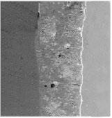 Extended summary in English analyses (EDX). Figure 2 illustrates the results of such investigations for both coatings.