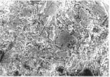 The phase A consisting mainly of Ni and the phase B of W, as a result of the power mixture during the plasma sprayed procedure.