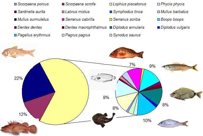Εικόνα 4.4. Ποσοστιαία συµµετοχή της βιοµάζας κάθε είδους στη συνολική βιοµάζα όλων των ατόµων που αλιεύτηκαν τον Απρίλιο 2015. Κατά τη δειγµατοληπτική περίοδο του Μαΐου βρέθηκαν 41 είδη.