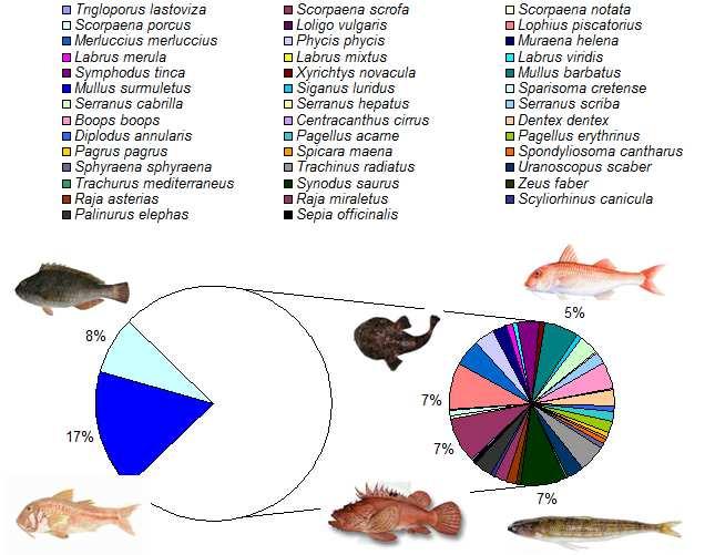 Εικόνα 4.6. Ποσοστιαία συµµετοχή της βιοµάζας κάθε είδους στη συνολική βιοµάζα όλων των ατόµων που αλιεύτηκαν τον Μάιο 2015. Για την δειγµατοληπτική περίοδο του Ιουνίου βρέθηκαν 37 είδη.