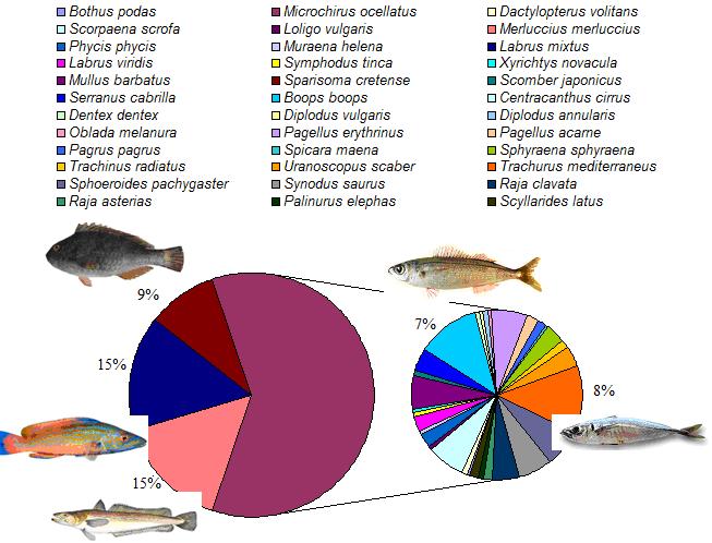 Εικόνα 4.8. Ποσοστιαία συµµετοχή της βιοµάζας κάθε είδους στη συνολική βιοµάζα όλων των ατόµων που αλιεύτηκαν τον Ιούνιο 2015. Κατά τη δειγµατοληπτική περίοδο του Ιουλίου βρέθηκαν 38 είδη.