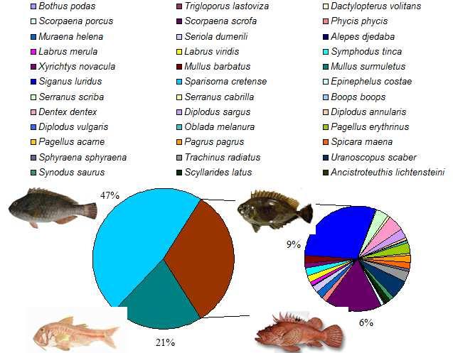 Εικόνα 4.12. Ποσοστιαία συµµετοχή της βιοµάζας κάθε είδους στη συνολική βιοµάζα όλων των ατόµων που αλιεύτηκαν τον Αύγουστο 2015. Κατά τη δειγµατοληπτική περίοδο του Σεπτεµβρίου βρέθηκαν 31 είδη.