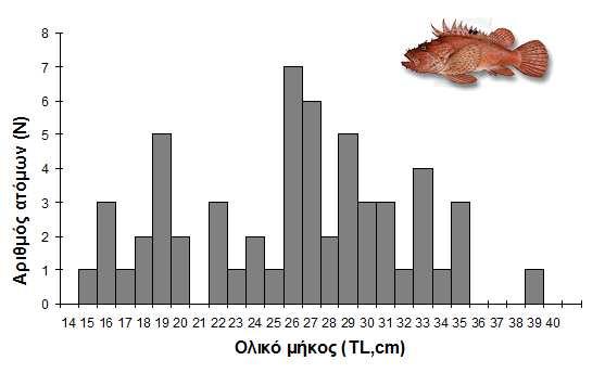 Lmax: 50cm N= 57 Εικόνα 4.25. Κατανοµή συχνοτήτων των κλάσεων ολικού µήκους (TL,cm) για το είδος Scorpaena scrofa, Απρίλιος Σεπτέµβριος 2015 Ν= Συνολικός αριθµός ατόµων.