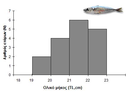 Για το είδος Trachurus mediterraneus (N=17) το µικρότερο άτοµο που αλιεύτηκε ήταν 18,9 cm ενώ το µεγαλύτερο 22,2cm (Πίνακας 4.2).