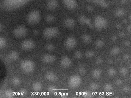 CBCS/ΣΡΡ 4/1, (δ) CBCS/ΣΡΡ