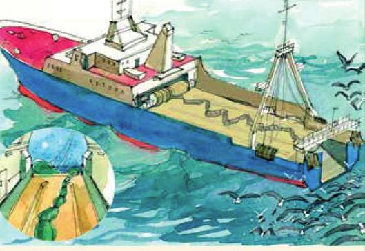 ΜΑΖΕΥΩ ΤΑ ΑΠΟΡΡΙΠΤΟΜΕΝΑ ΑΛΙΕΥΜΑΤΑ Κρατώντας τα απορριπτόμενα αλιεύματα (και όχι πετώντας τα στη θάλασσα) όταν τα παραγάδια είναι ακόμα στο νερό -ιδιαίτερα κατά το καλάρισμα και λεβάρισμα-,