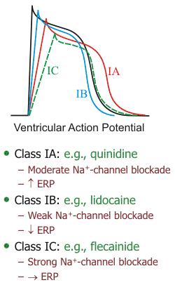 Comparație antiaritmice clasa I efectul asupra canalelor Na + și PRE Blocarea
