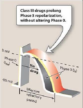 Antiaritmicele clasa III.