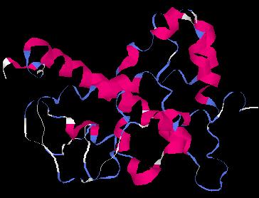 Εικόνα 55 Προτεινόμενα μοντέλα τριτοταγούς διαμόρφωσης του πρωτεϊνικού τμήματος του HNF-4 του M. galloprovincialis από το πρόγραμμα Geno3d Σύγκριση πρωτεΐνης HNF-4 M.
