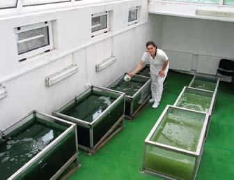 Sfaturi fitoterapeutice Efectele benefice ale tratamentului cu Spirulina platensis la Complexul de Terapie Naturală Alexandra din Breaza Metodă unicat în România şi Europa timaţi cititori ai revistei