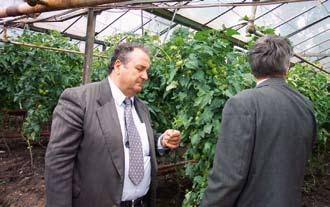 Restituiri cu Ştefan Manea Şi totuşi d-le Manea este momentul să avertizăm cititorii despre capcanele mai puţin vizibile care se lăfăie îmbietor pe tarabele pieţelor din România.